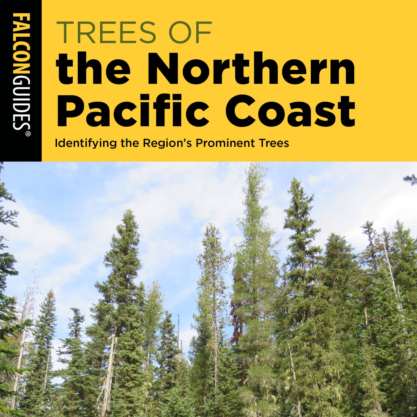 Trees of the Northern Pacific Coast