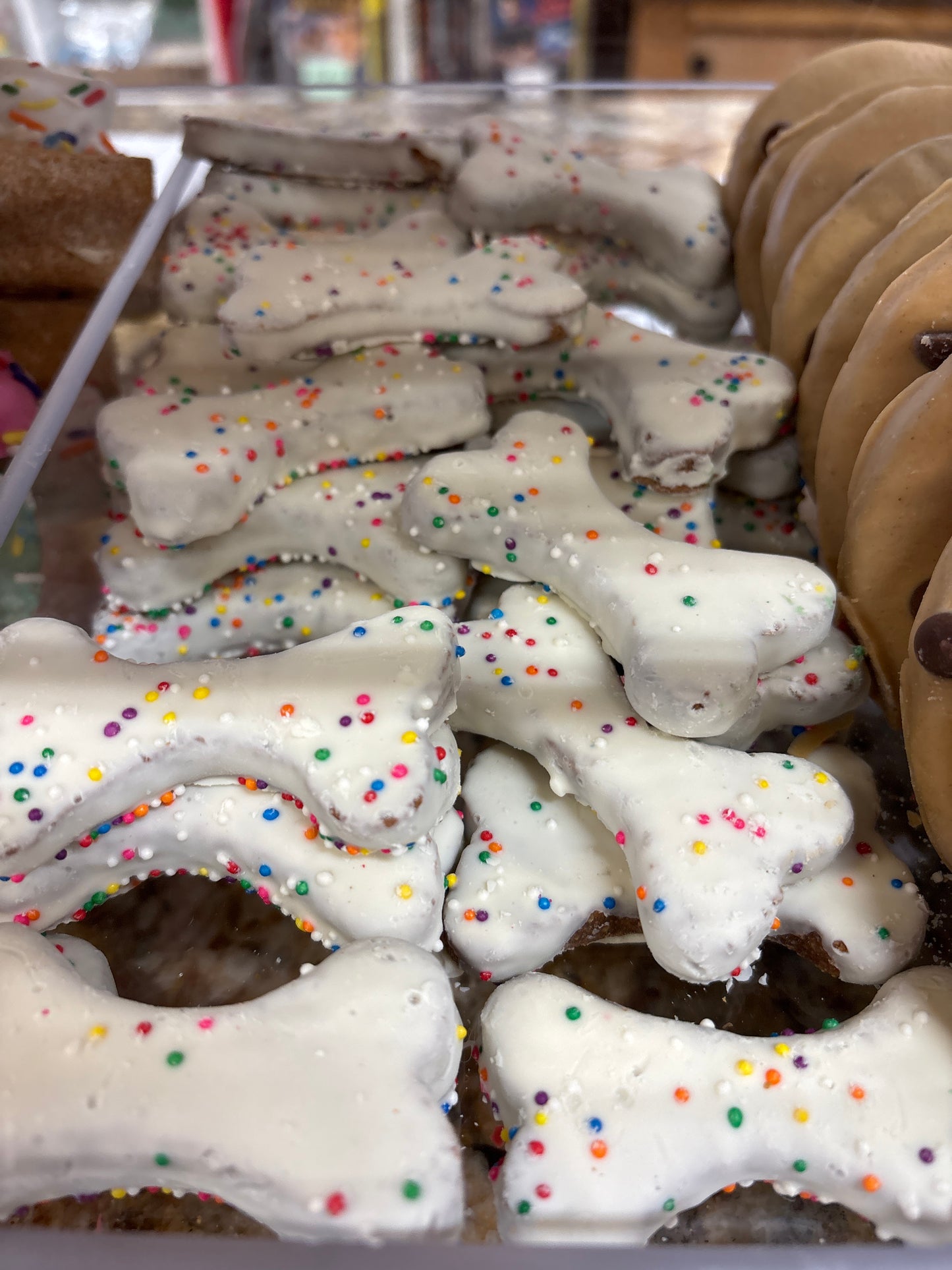 Dog Treat in Case small