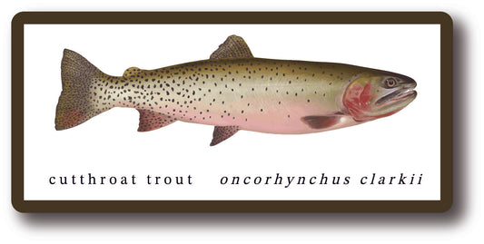 Cutthroat Trout Sticker
